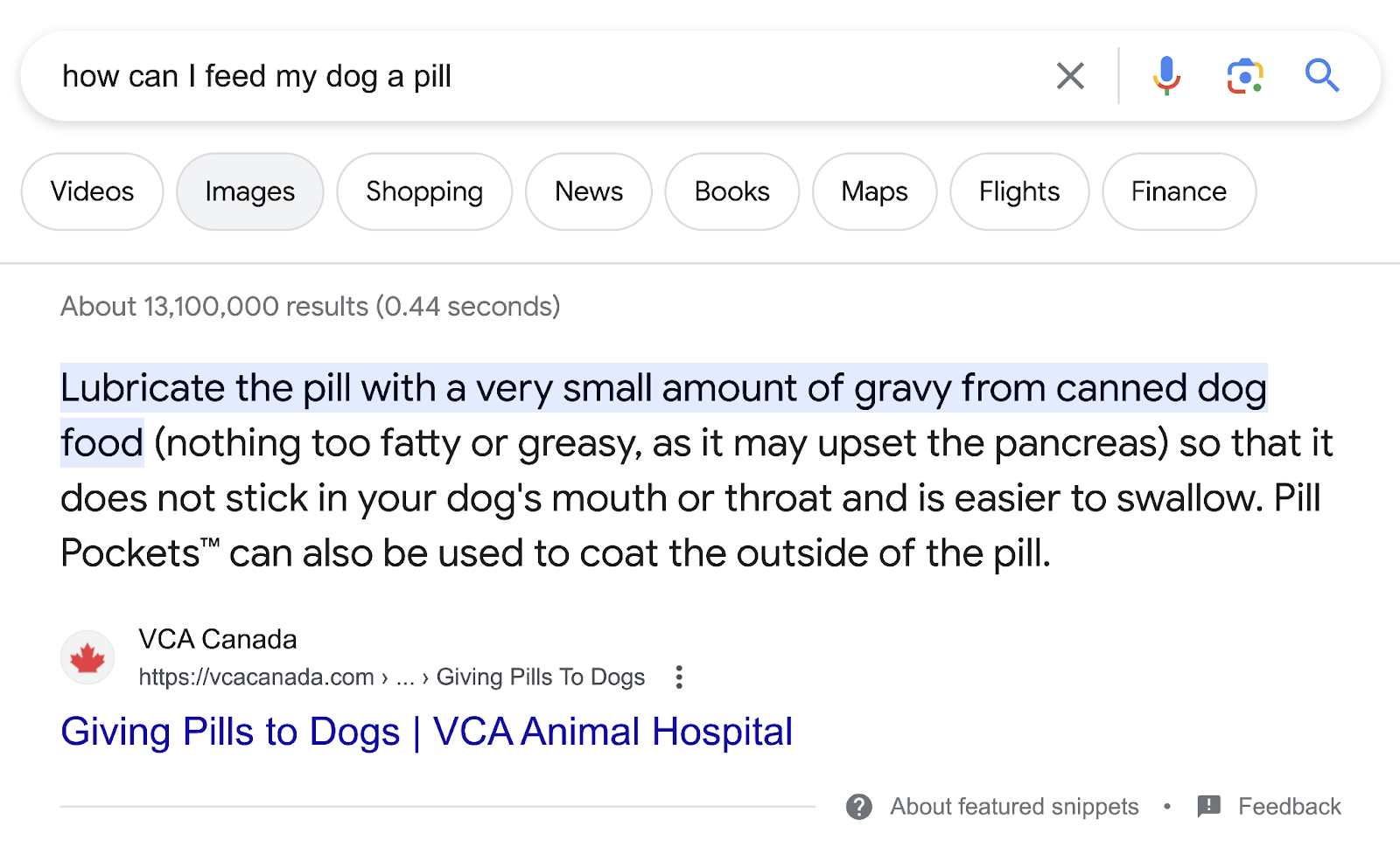 first results on Google for “How can I feed my dog a pill?” query shows a page from VCA Animal Hospital on “Giving Pills to Dogs”
